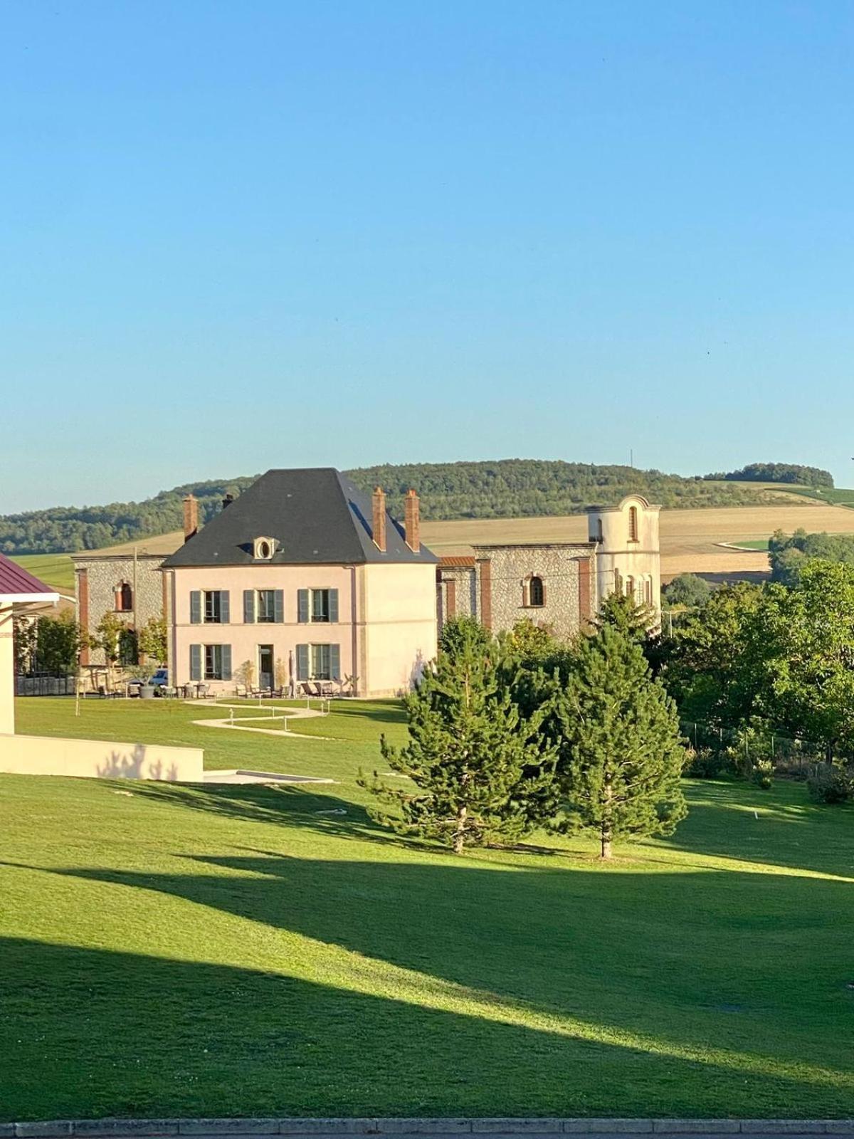 Villa Eulalie - Champagne Edouard Duval B&B Guest House Nestled In The Champagne Area Bligny Экстерьер фото